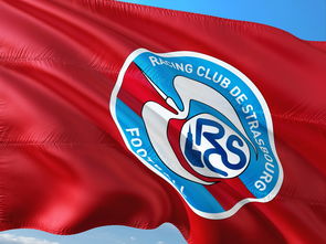 xingkong体育-荷兰队在欧洲预赛中继续保持领先优势