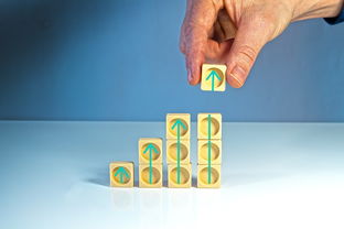 星空体育平台-新闻中心深度分析品牌活动执行全程构建长期发展新优势，品牌活动新闻稿范文